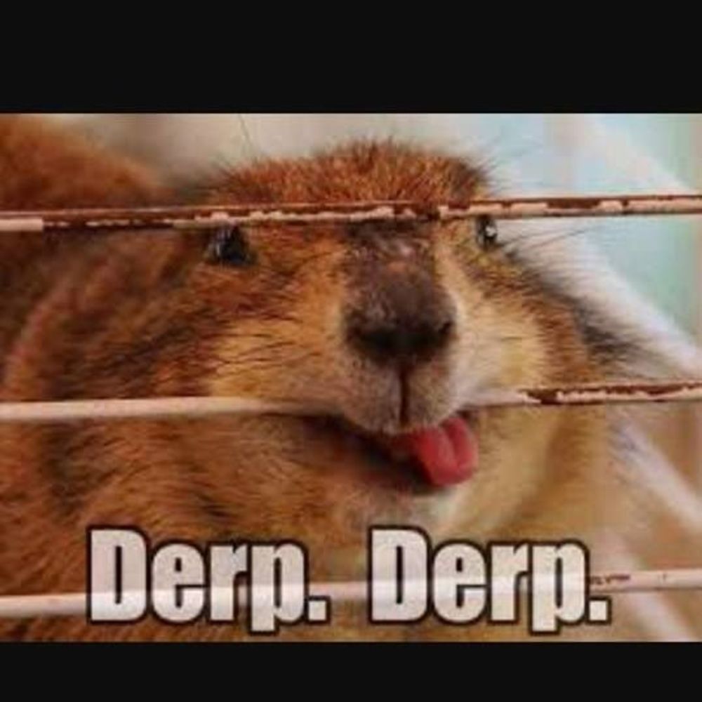 Meet your Posher, Kandy